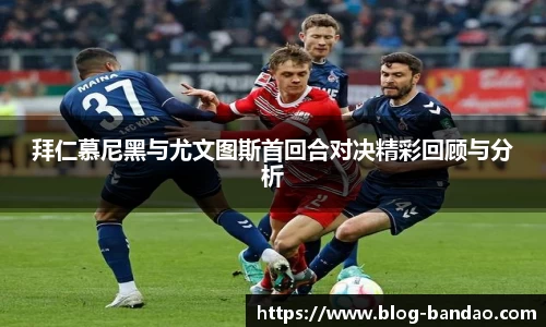 半岛体育APP