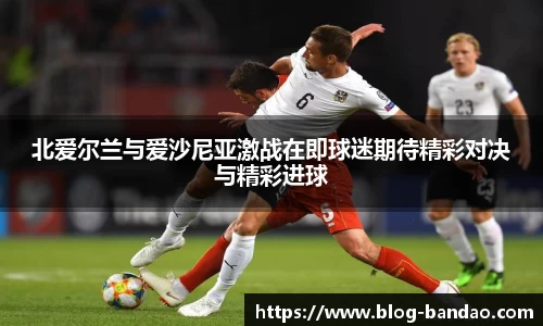 北爱尔兰与爱沙尼亚激战在即球迷期待精彩对决与精彩进球