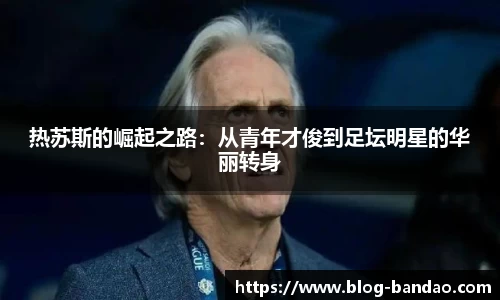 半岛体育官网