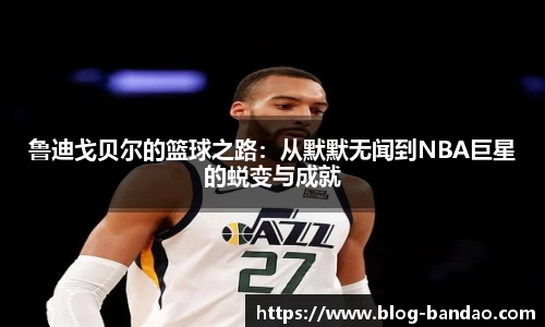 半岛体育官网